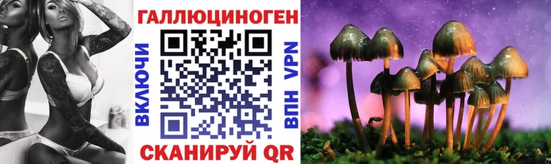 Галлюциногенные грибы Psilocybe  Чегем 